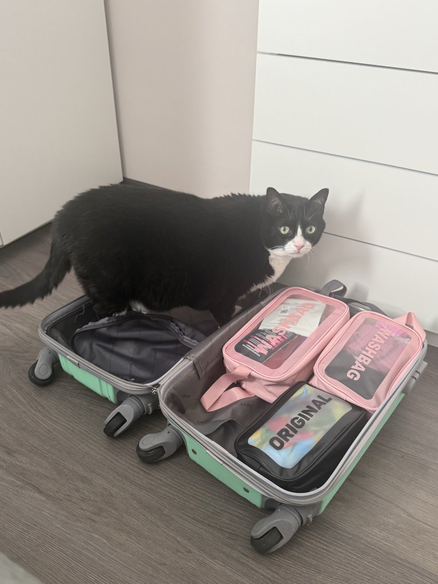 Людмилка tweet media