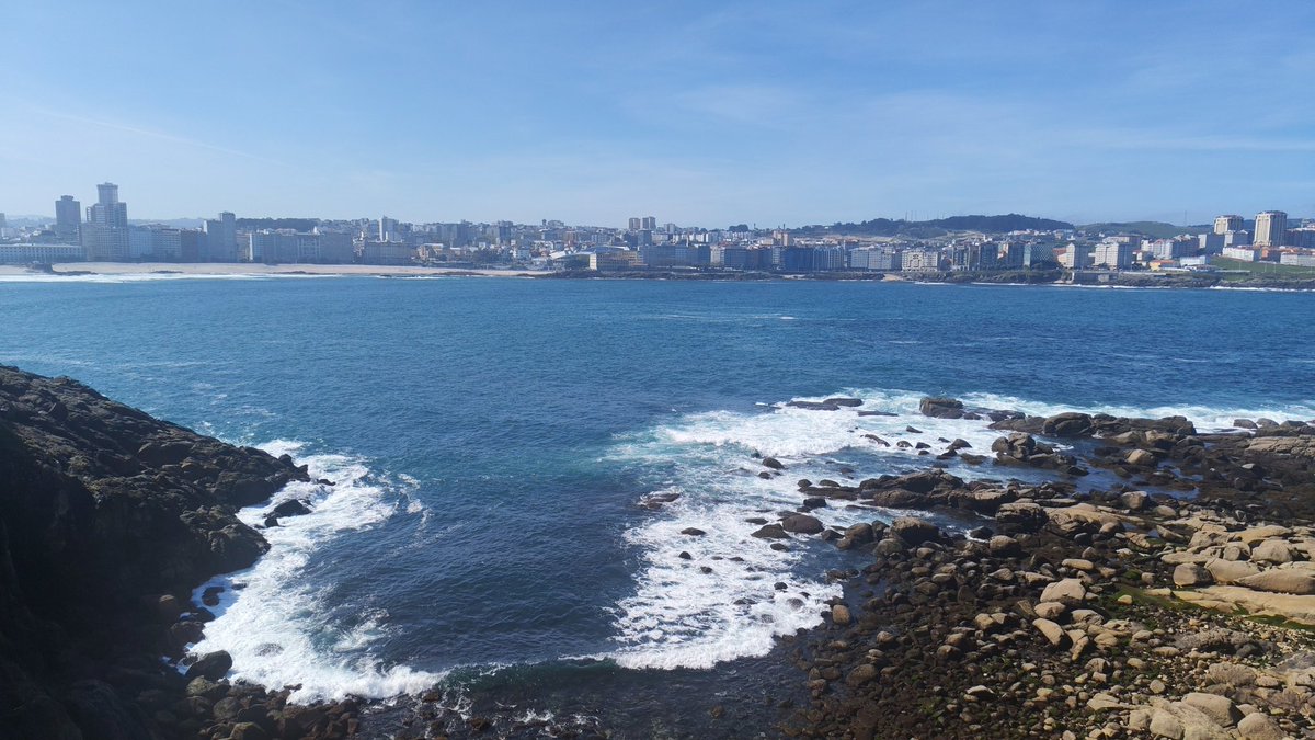 FRENTE COMEPIPAS tweet media