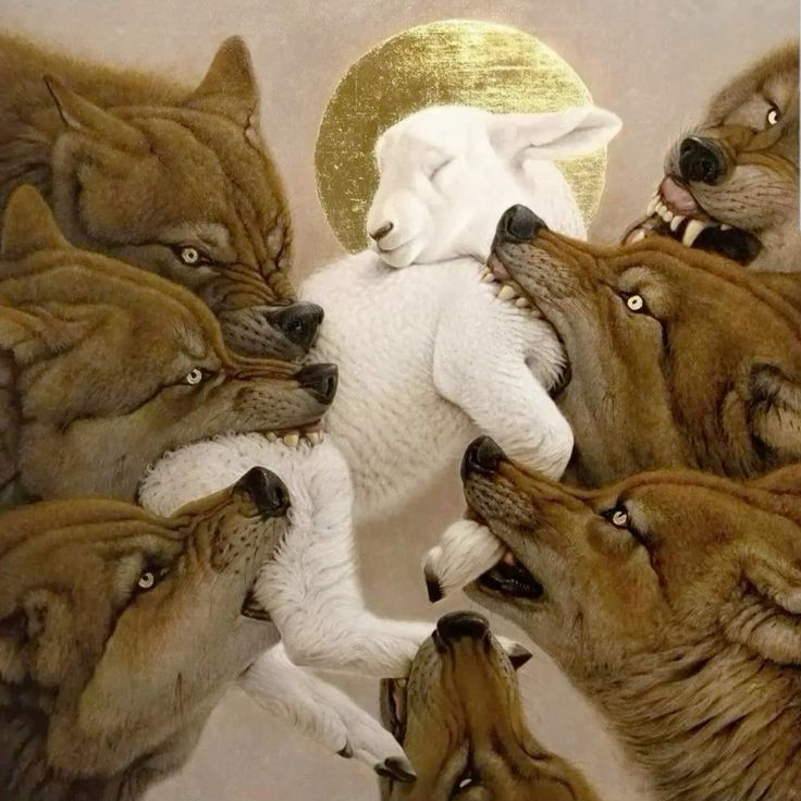 Luna (@skzluna8) on Twitter photo 