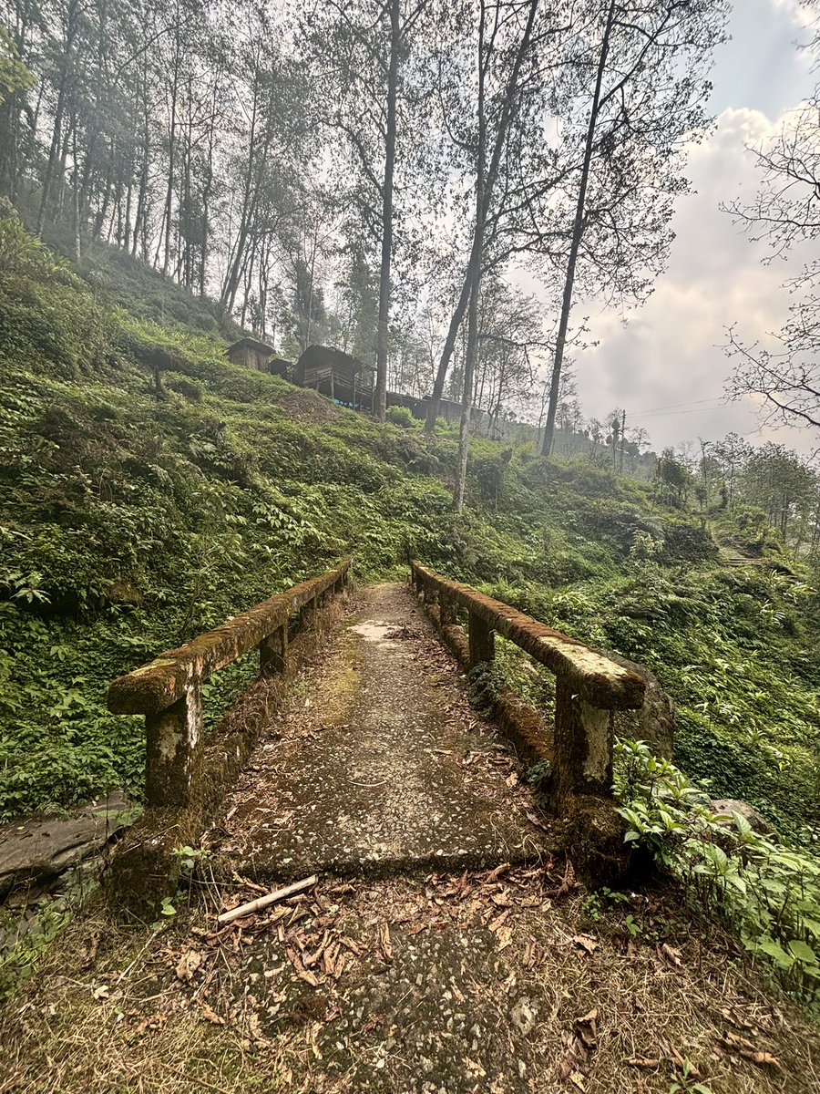 prasantnnaidu's tweet photo. In the trails of #yuksom https://t.co/fowk3ZYsfg