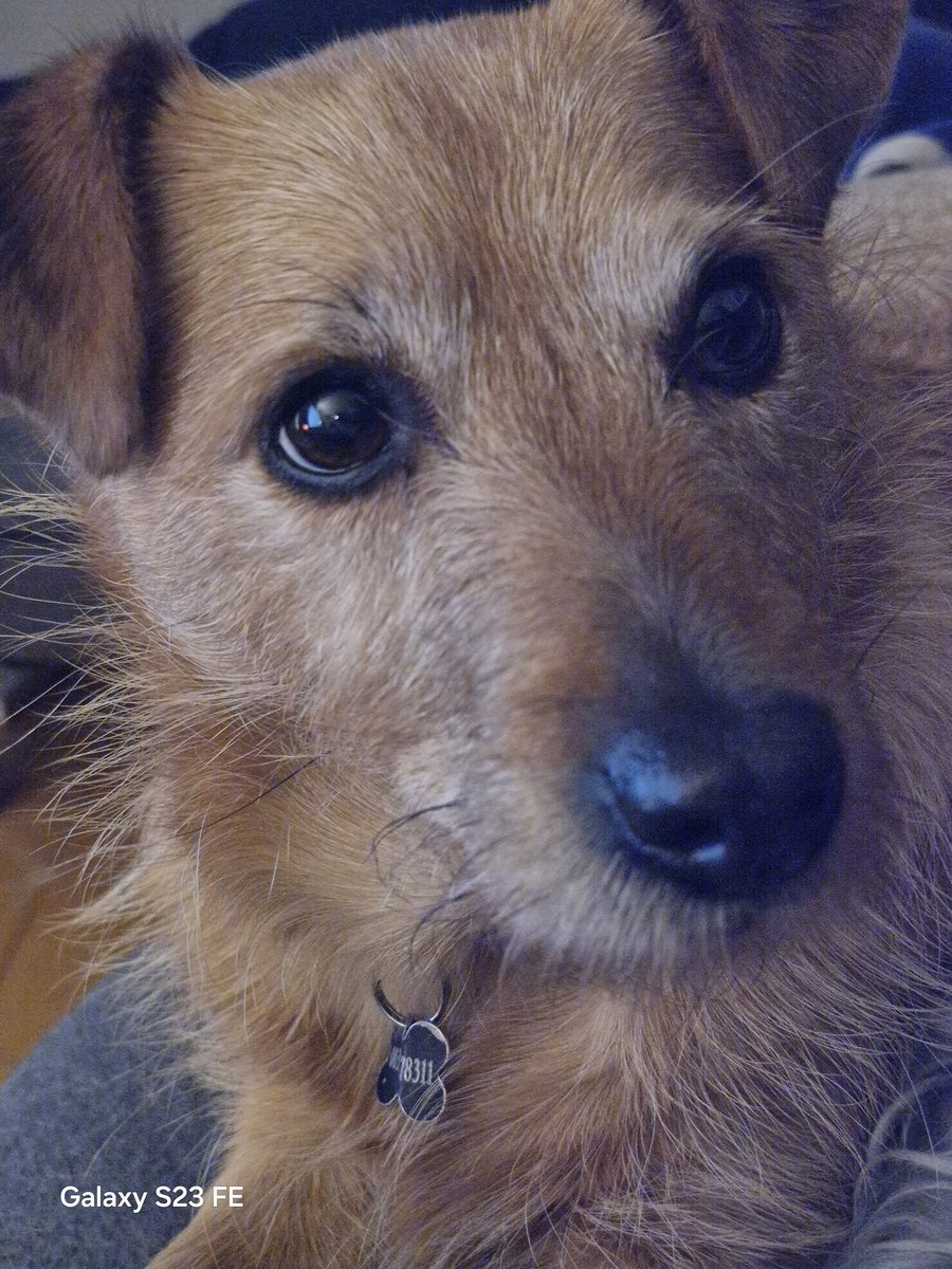 Lorraine@kermit-kerm.bsky.social 🌻 tweet media