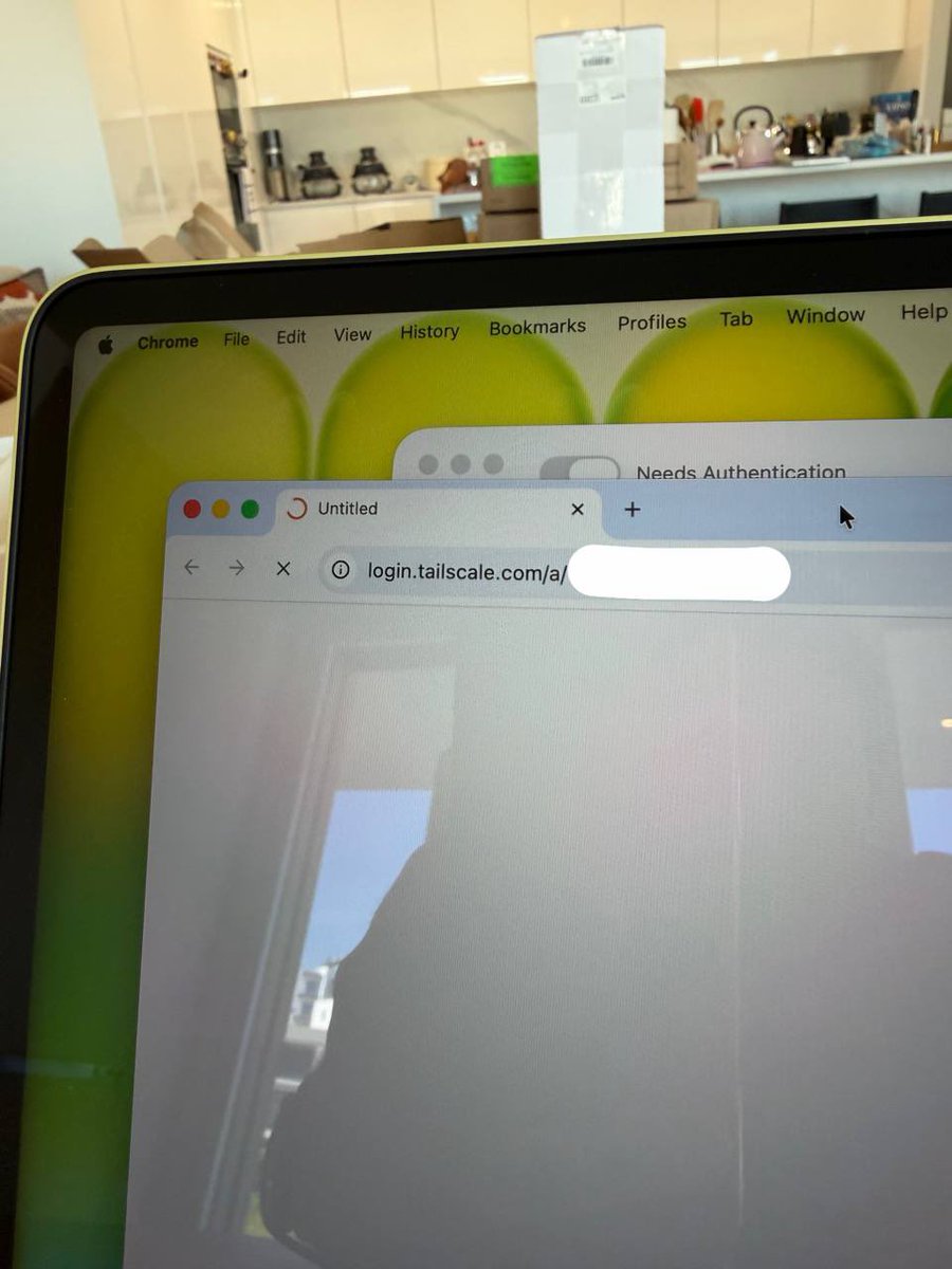 @levelsio tweet media