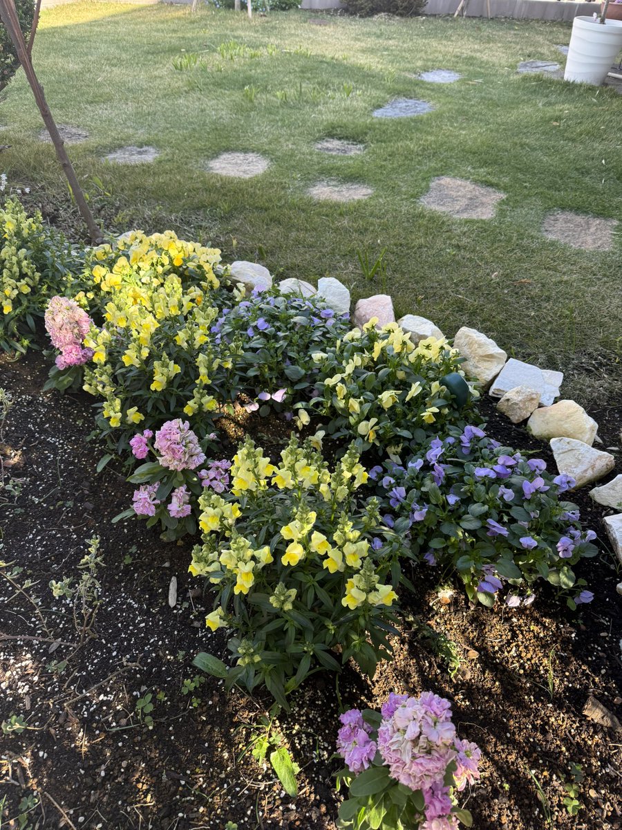 SHOTA900724'S GALLERY tweet media