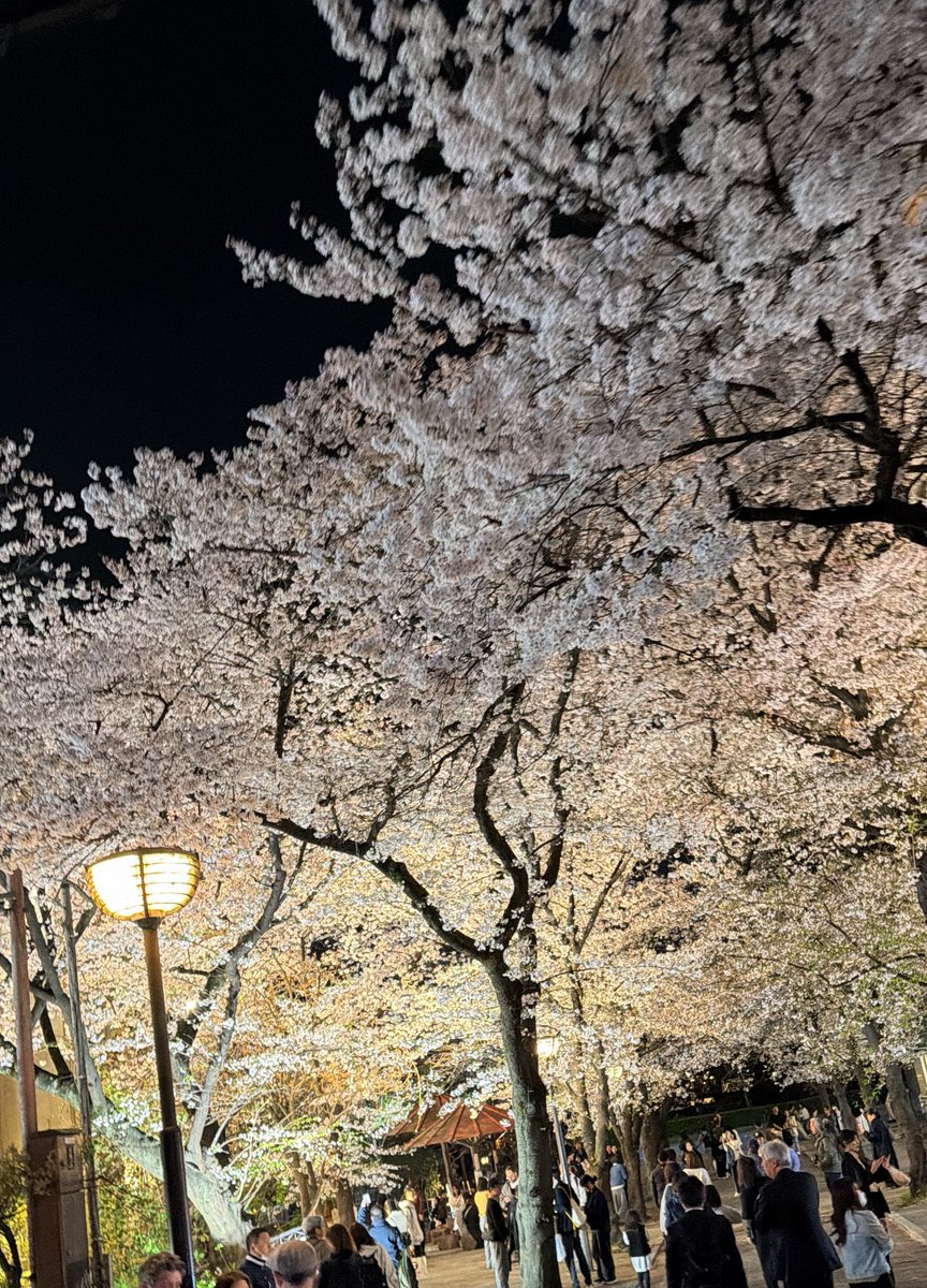 ただのギャル tweet media