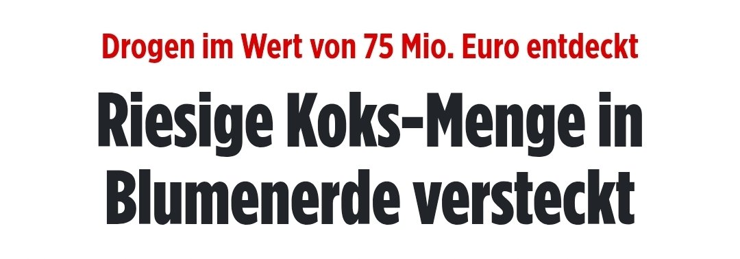 Coolnasenbaer 👊😁👍 tweet media