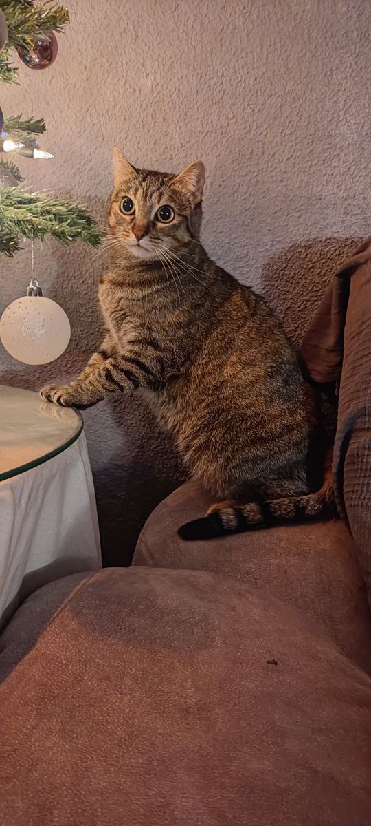 🆂🅷🅸🆁🅾 😜🏄 tweet media