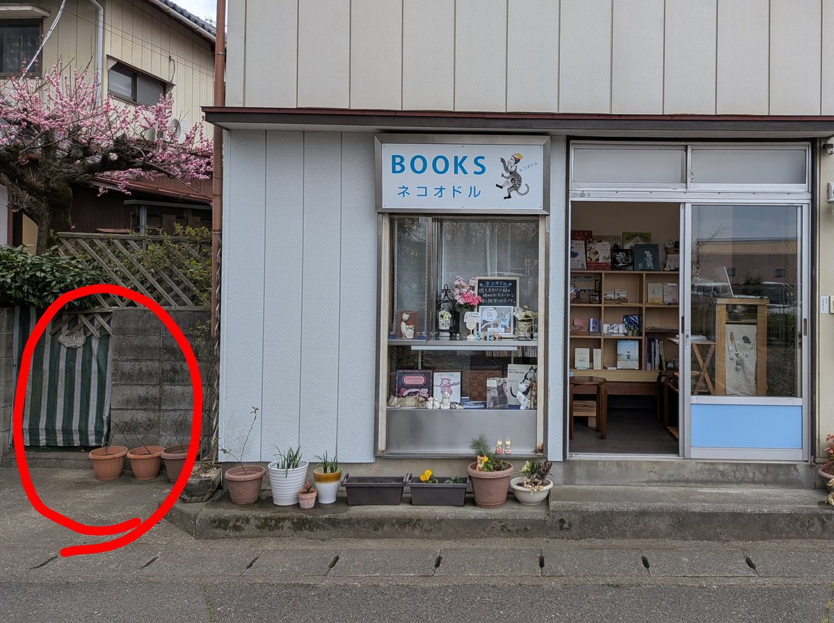 ネコオドル tweet media