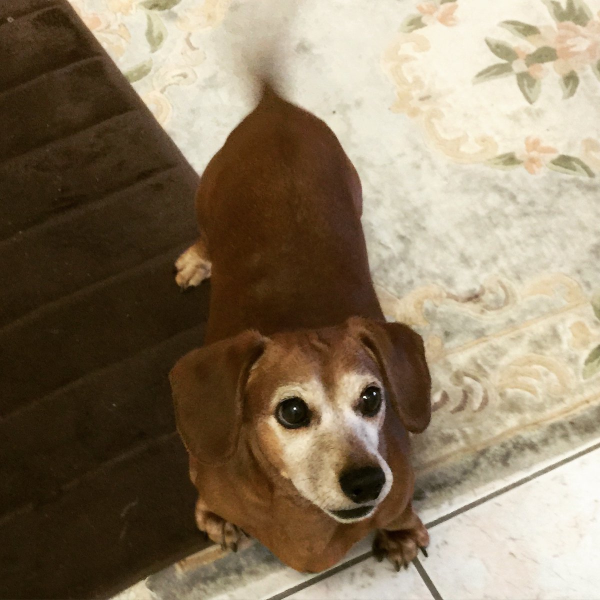 Babak Morshedizadeh tweet media