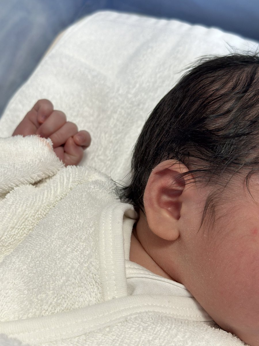 やぶちゃん tweet media