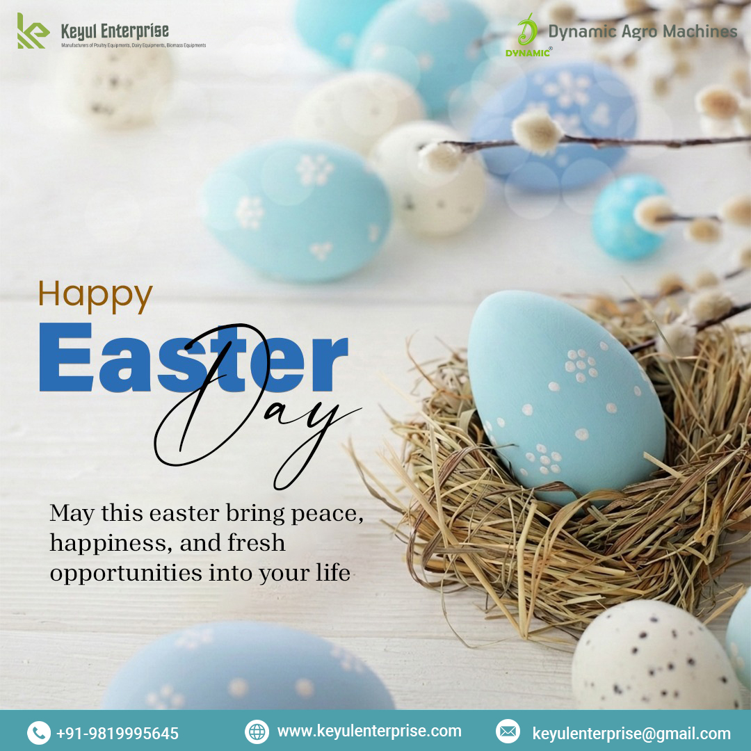 KeyulEnterprise's tweet photo. May the spirit of Easter inspire growth, positivity, and success. 🌸✨
Wishing you a day full of joy, warmth, and beautiful moments. 🐣

#HappyEaster #FestiveVibes #NewStart https://t.co/Ei3En9gN6o