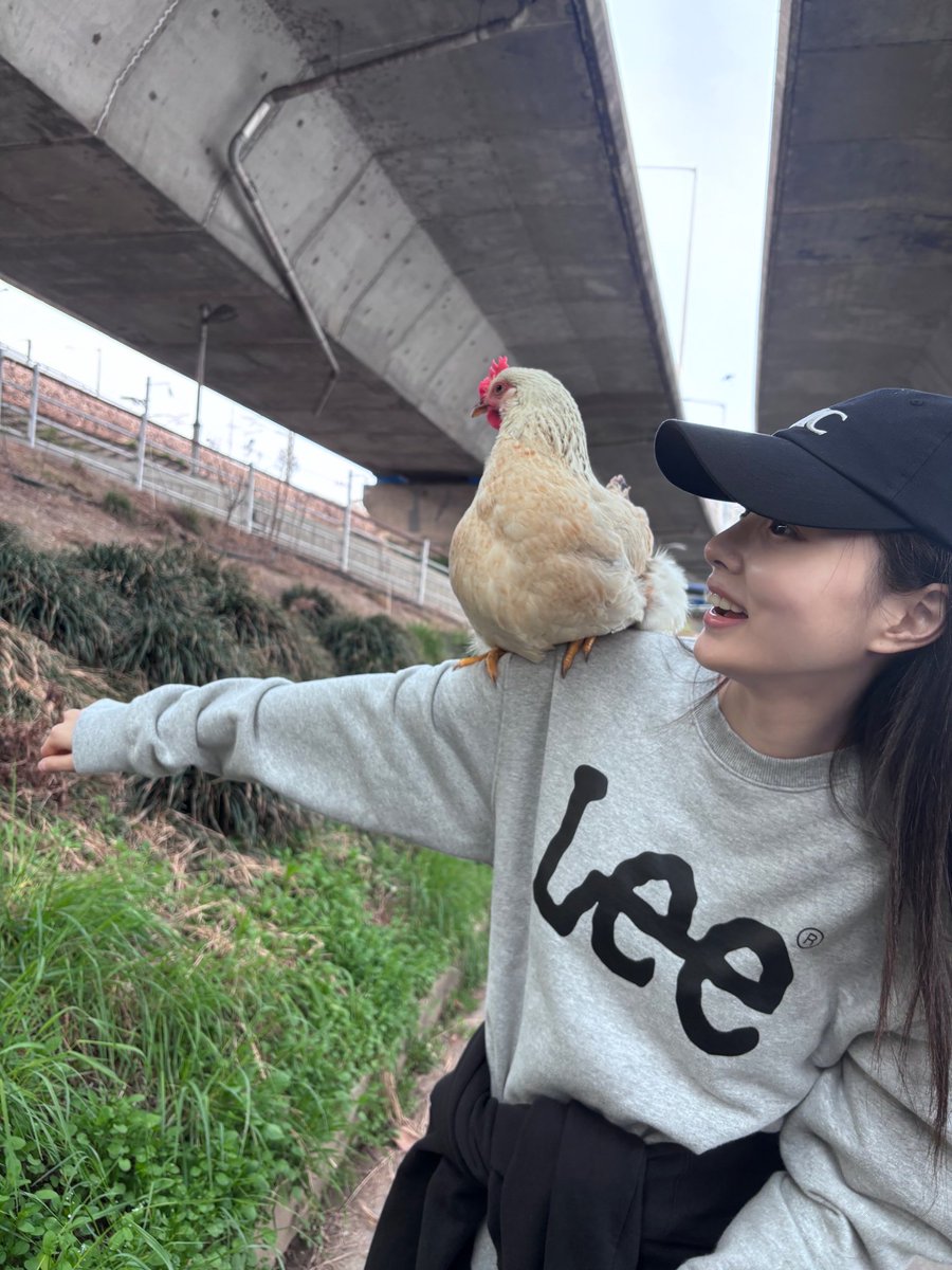 カンちゃん 💎 hyewon tweet media