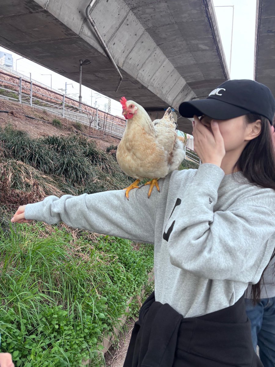 カンちゃん 💎 hyewon tweet media