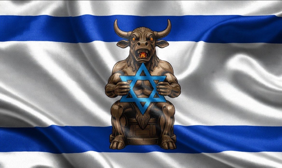 LandDuckZ tweet media