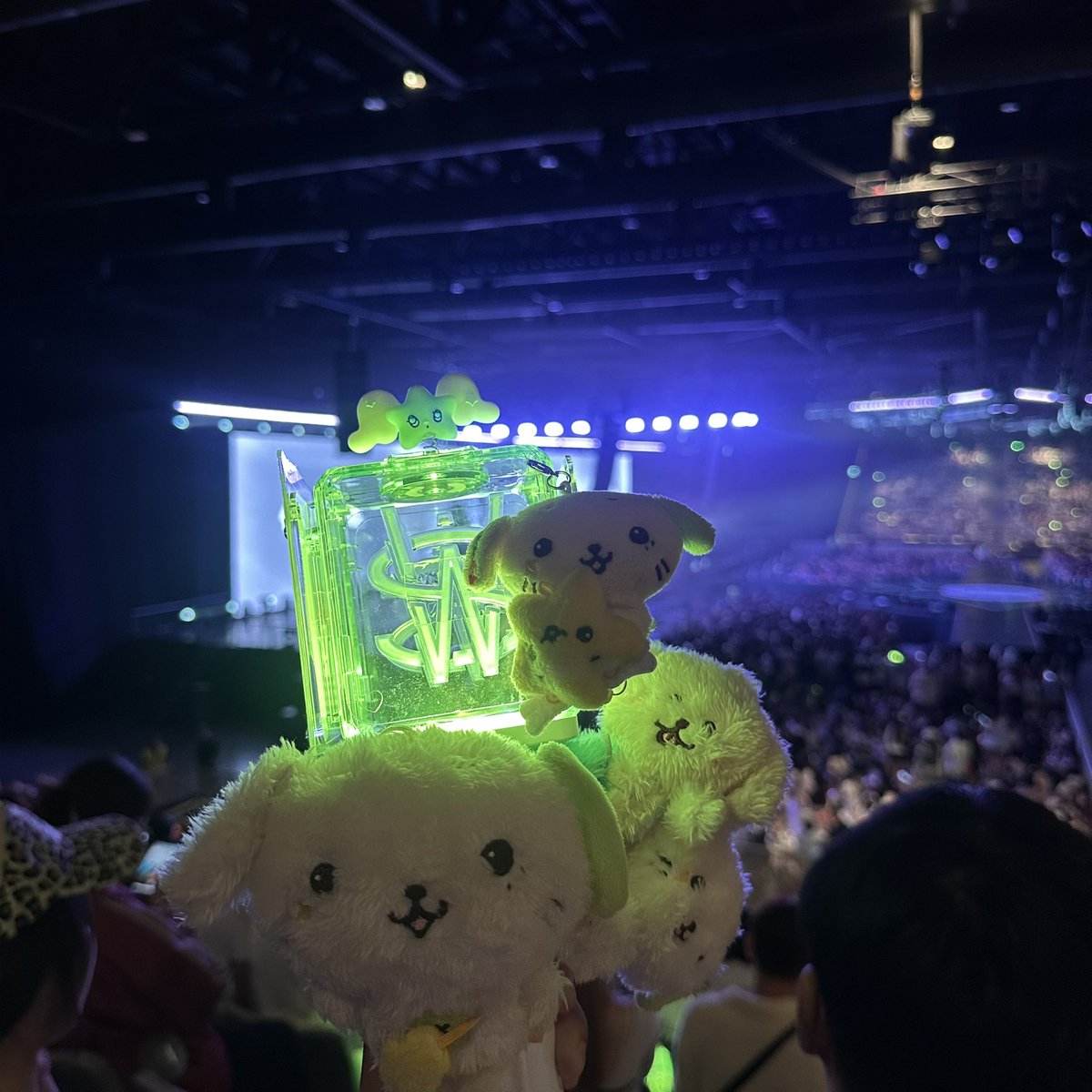 didim🪻 witnessed jaeriryo goyangi reels😭 tweet media