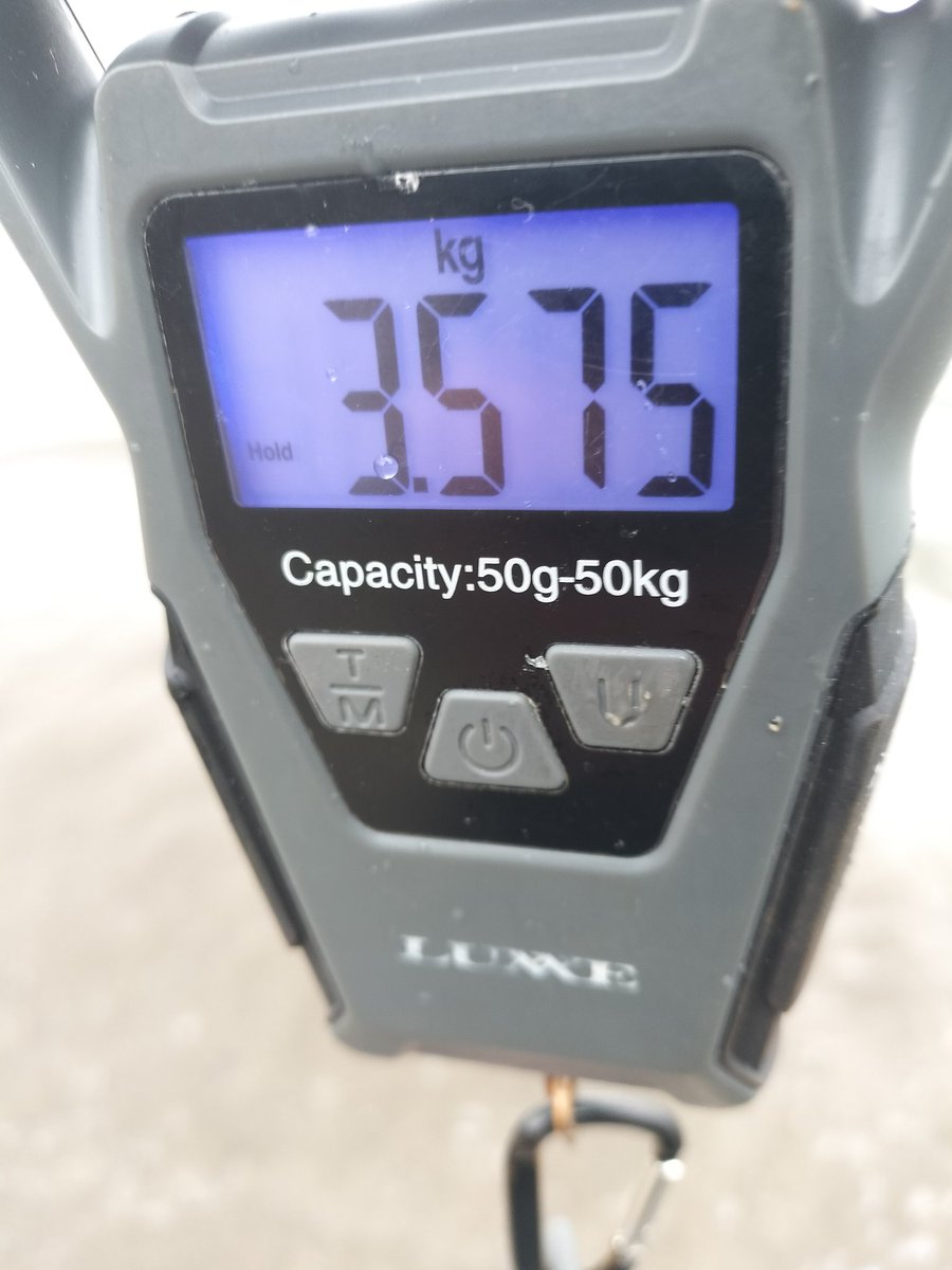 カンちゃんKusaplants tweet media