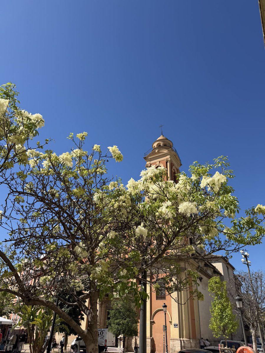 хвиляста зі смаком лисичок tweet media