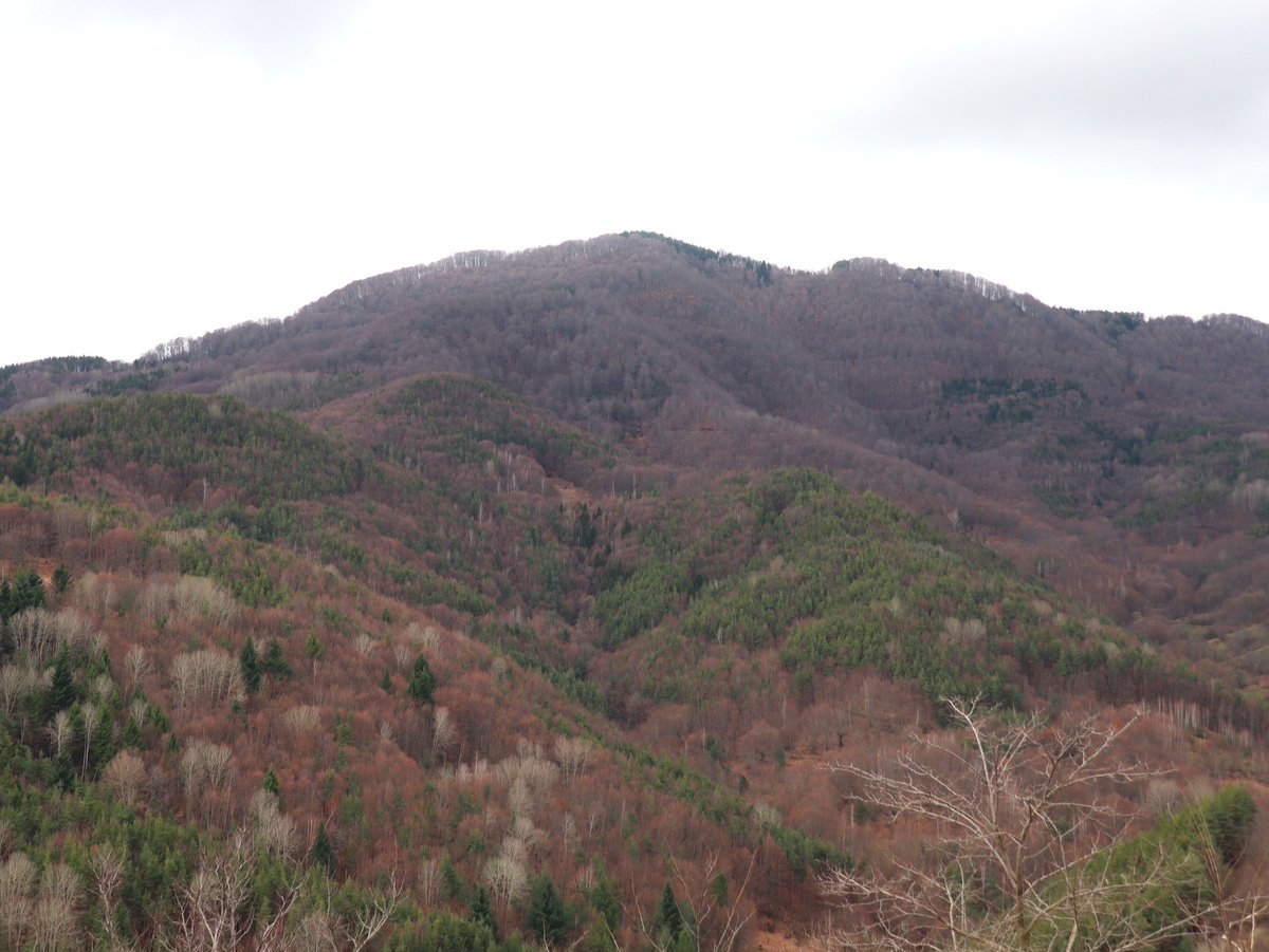 Rodopi_'s tweet photo. The Rhodope Mountains are ready to welcome spring.🌿
📸 Aladağ,  Ardino/Kırcaali https://t.co/fspoF9faVT