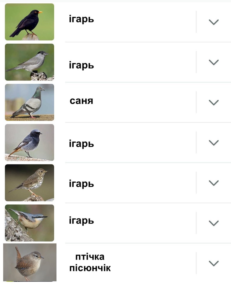 car leak tweet media