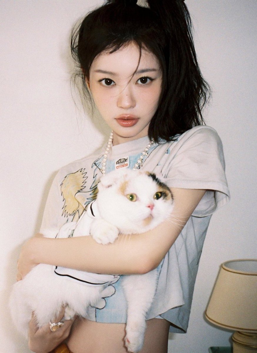 sakaimocca's tweet photo. Paws mingle https://t.co/mPUiS0bGg7