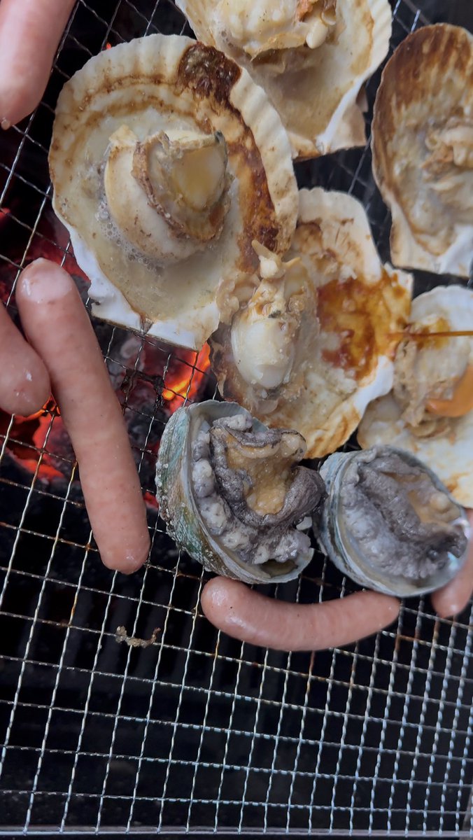 はる𓁠 tweet media