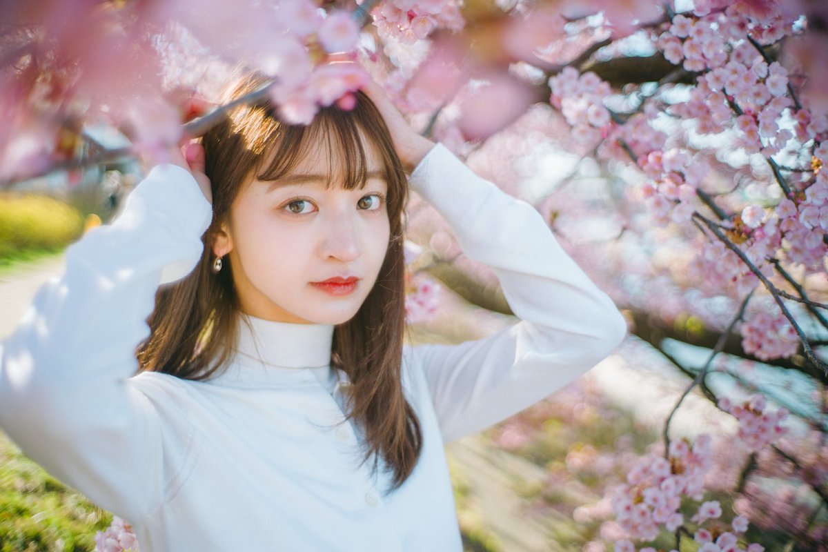 橘 明日香 tweet media