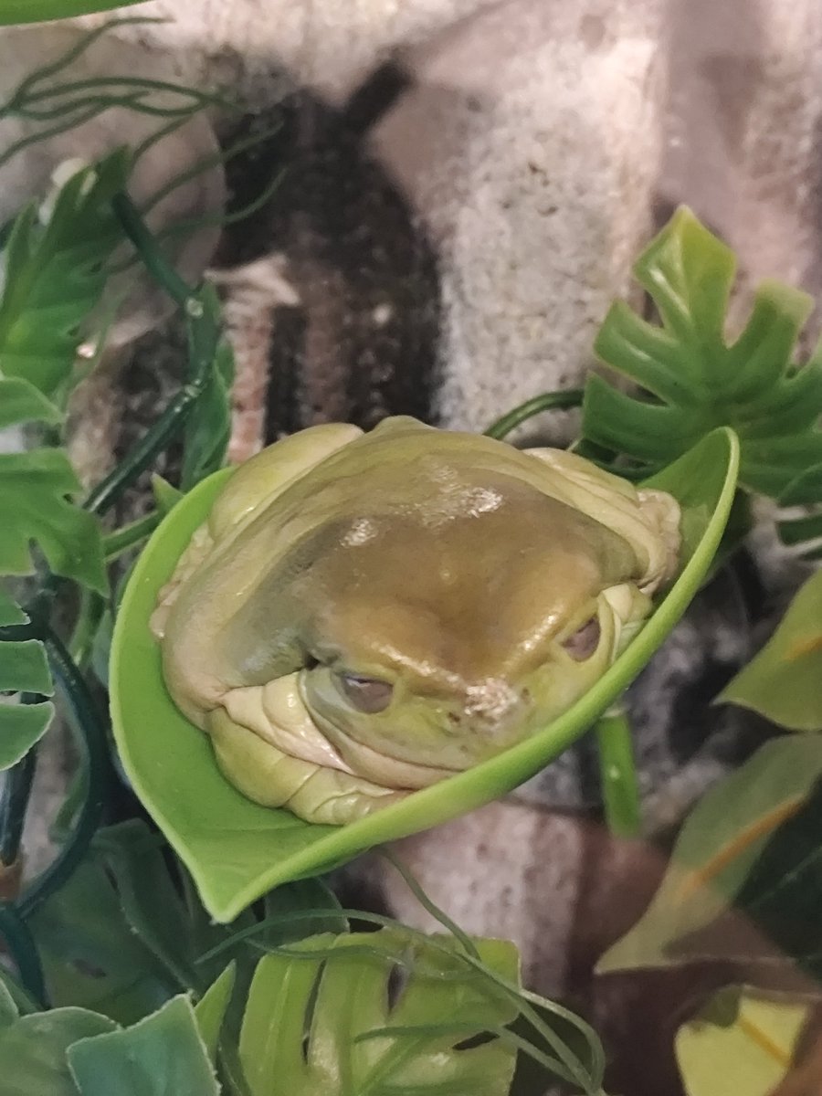 janKillDibujos🔞🇪🇸 tweet media