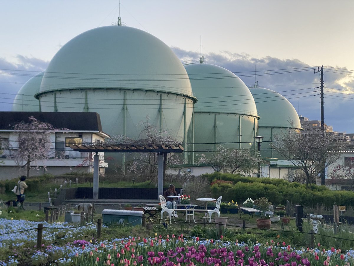 noah❦(beanlette) tweet media