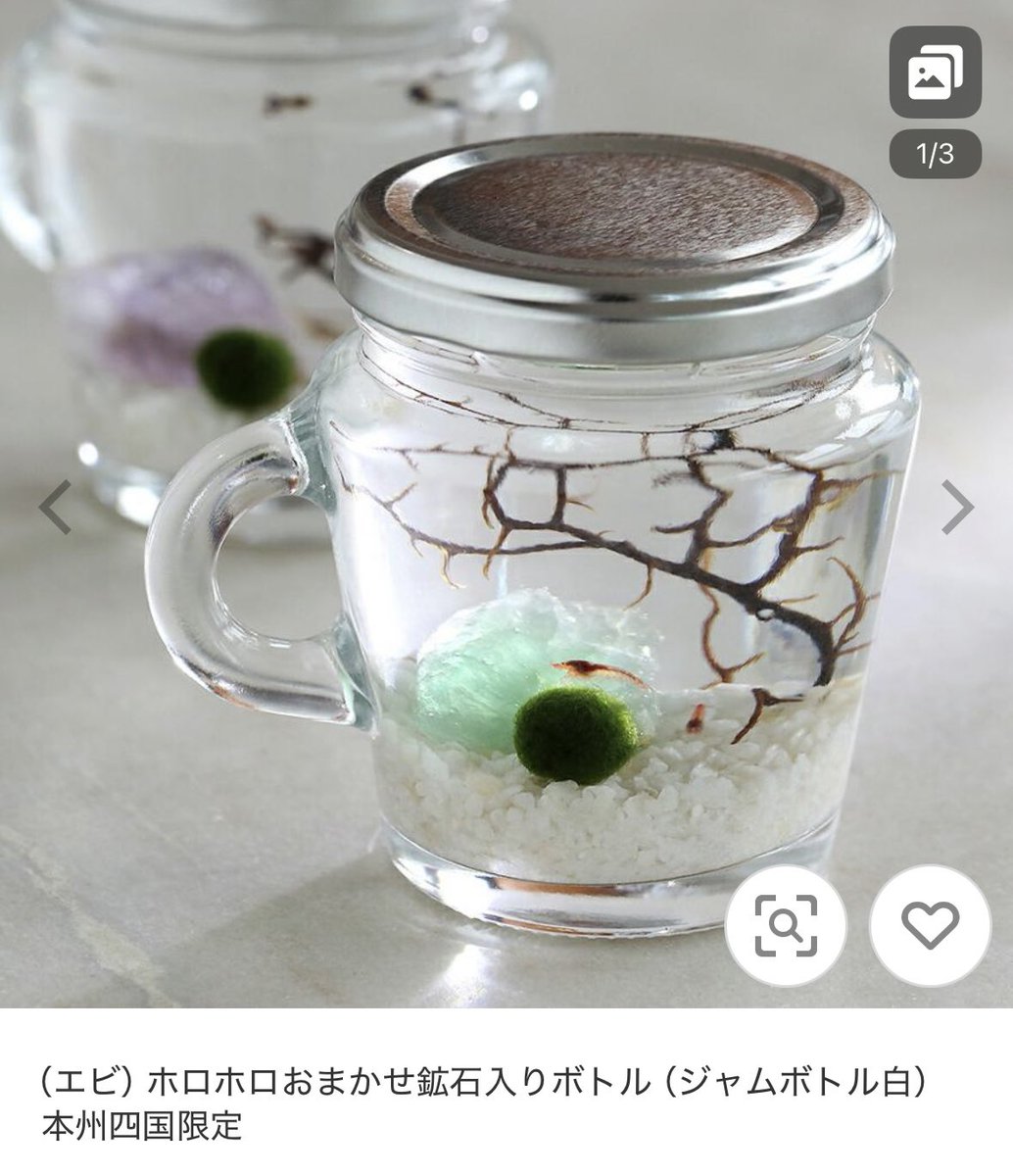 ささめ𓇼🫧 tweet media