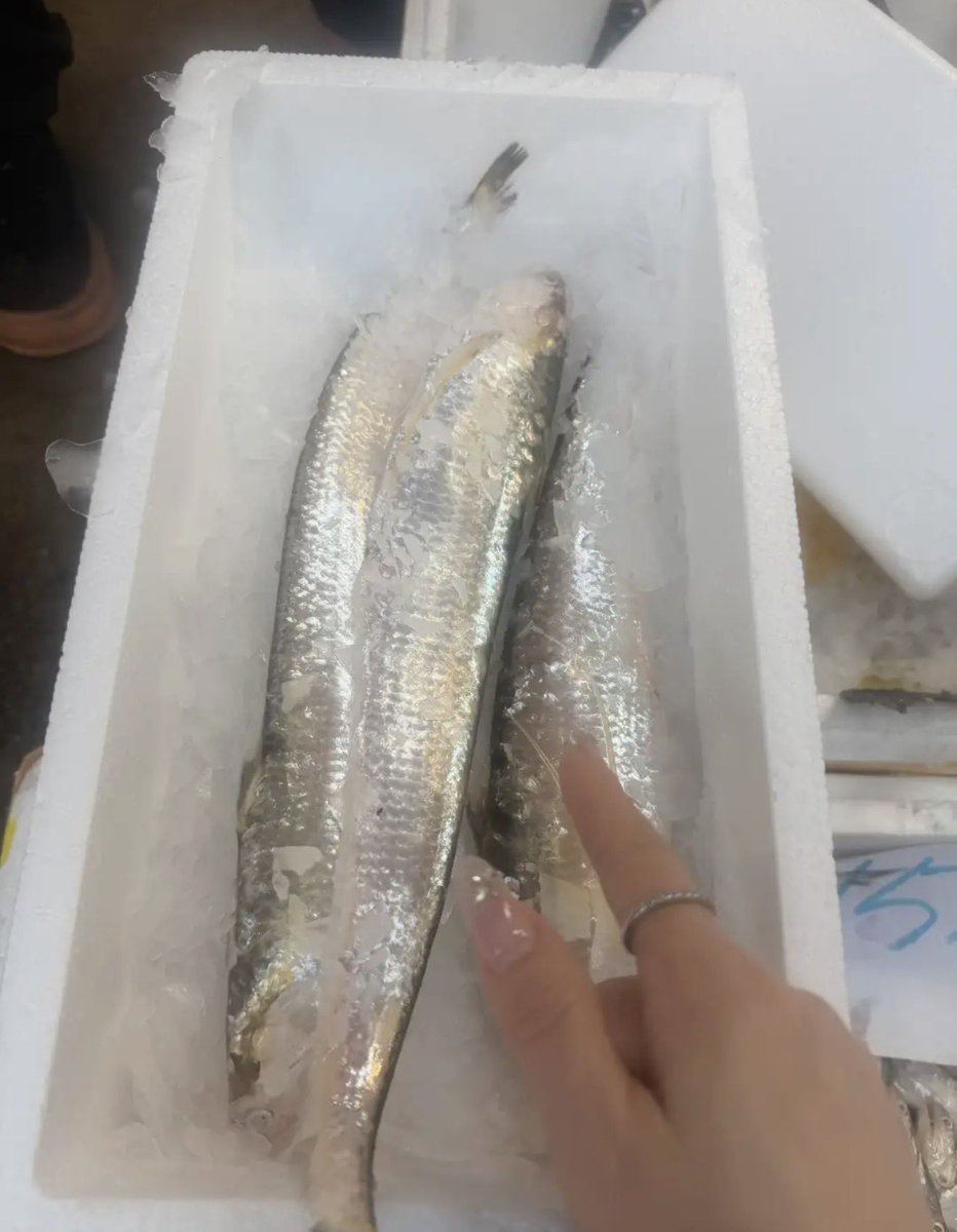 趙趕驢 tweet media