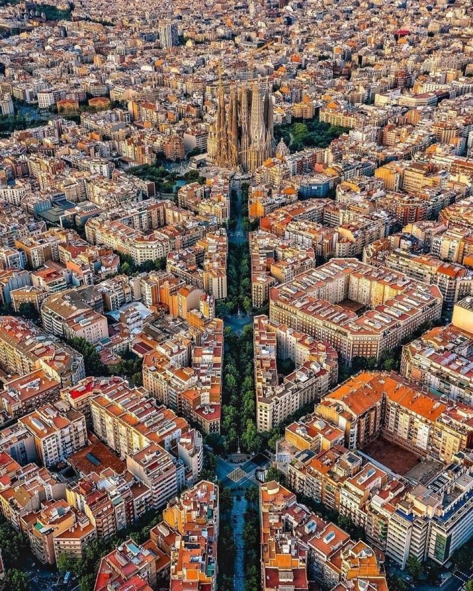 Sesko_ffs tweet media