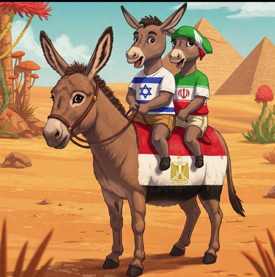 الماجـد tweet media