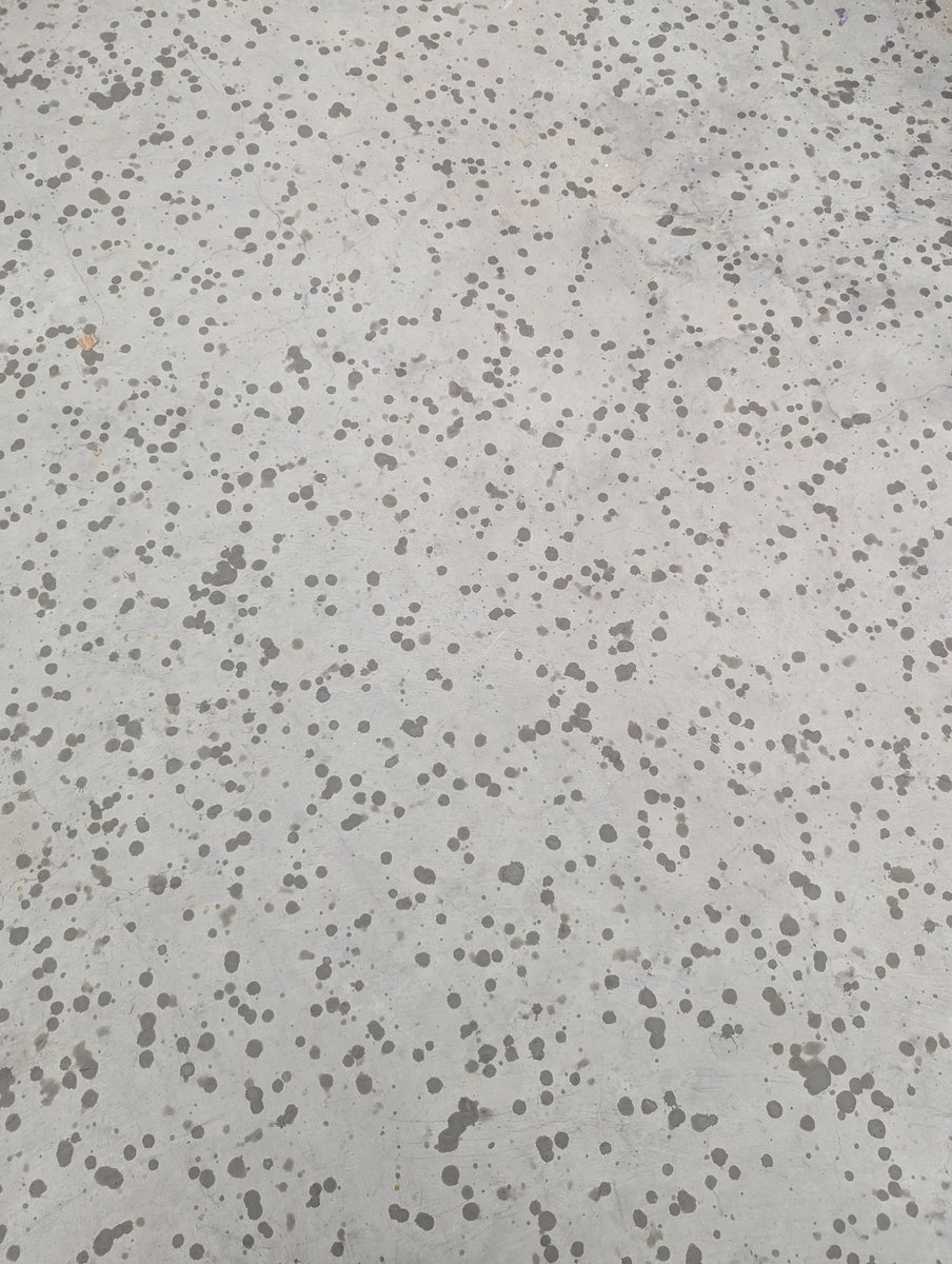 bhavyaxoxo's tweet photo. A beautiful rainy evening #Chandigarh #spring #aprilmonth https://t.co/H3SLlIODHC