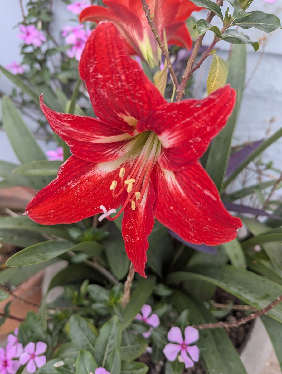 bhavyaxoxo's tweet photo. A beautiful rainy evening #Chandigarh #spring #aprilmonth https://t.co/H3SLlIODHC