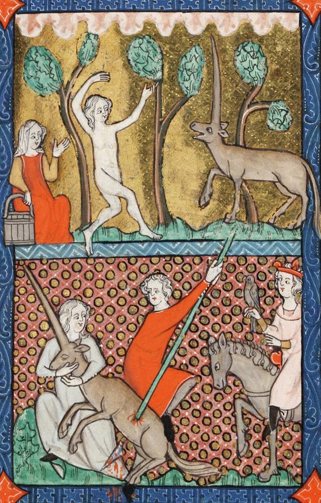 𝕮𝖎𝖊𝖑𝖊𝖈𝖍 🇵🇱 tweet media