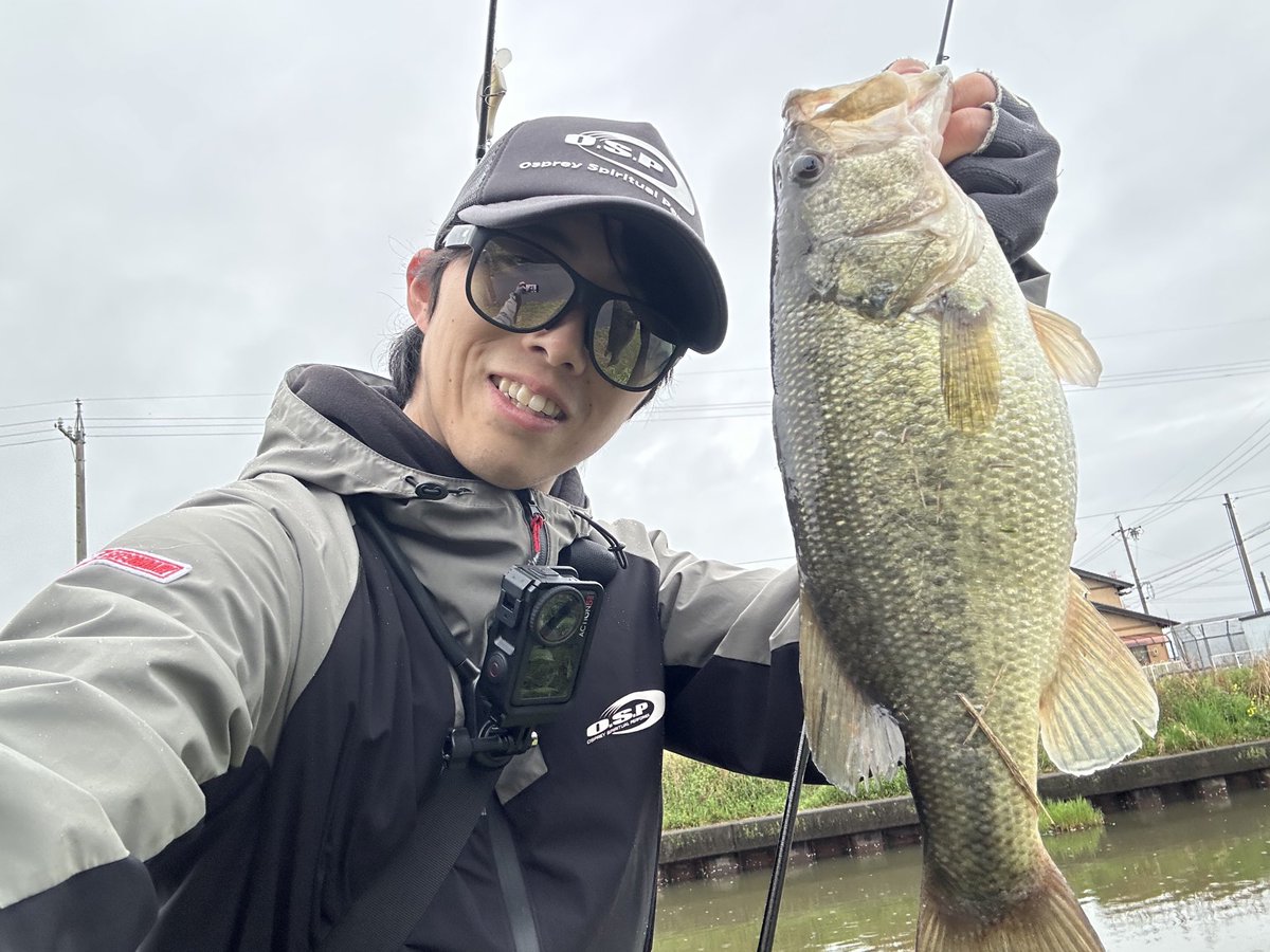 波呂 魁人 tweet media