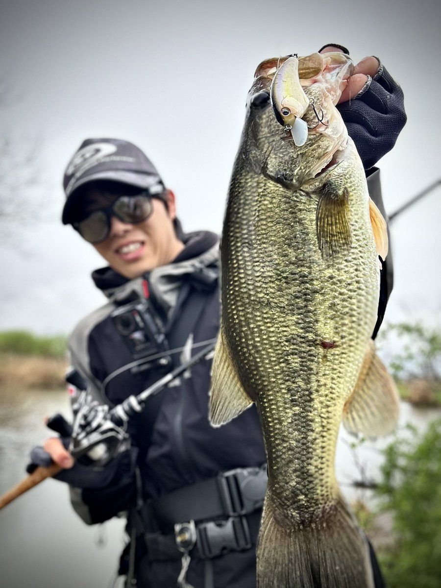 波呂 魁人 tweet media