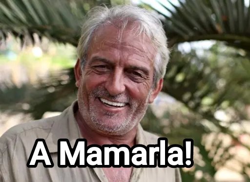 Pat Gromenauer🍺 tweet media