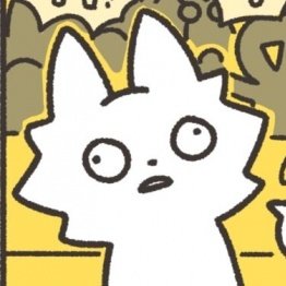 사람살려 tweet media