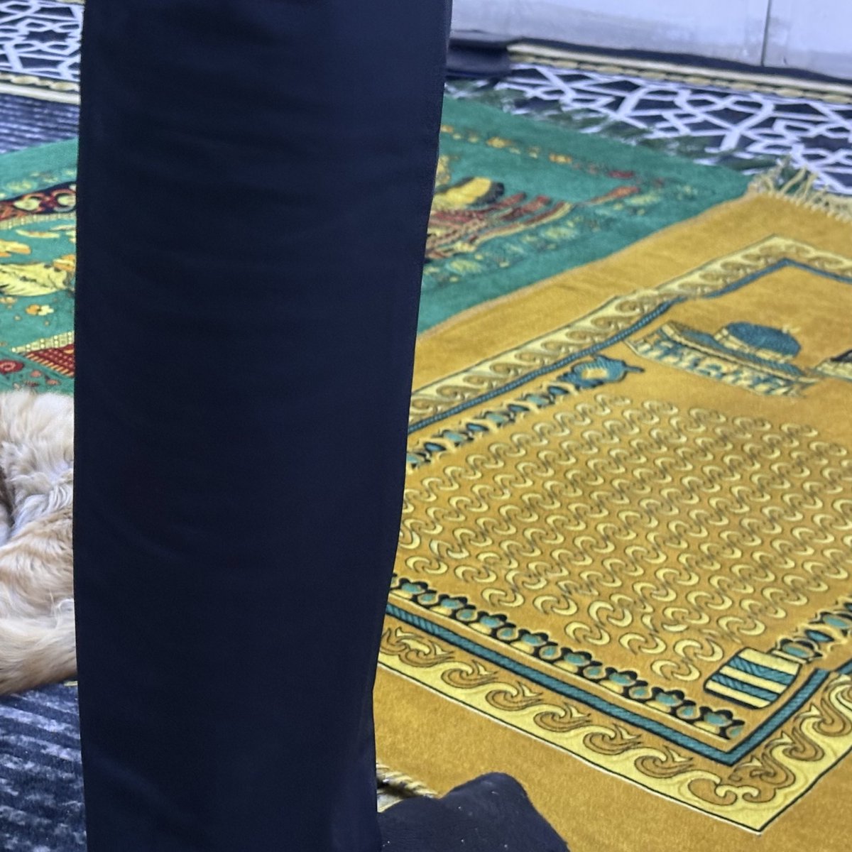 ماتشا فراولة tweet media