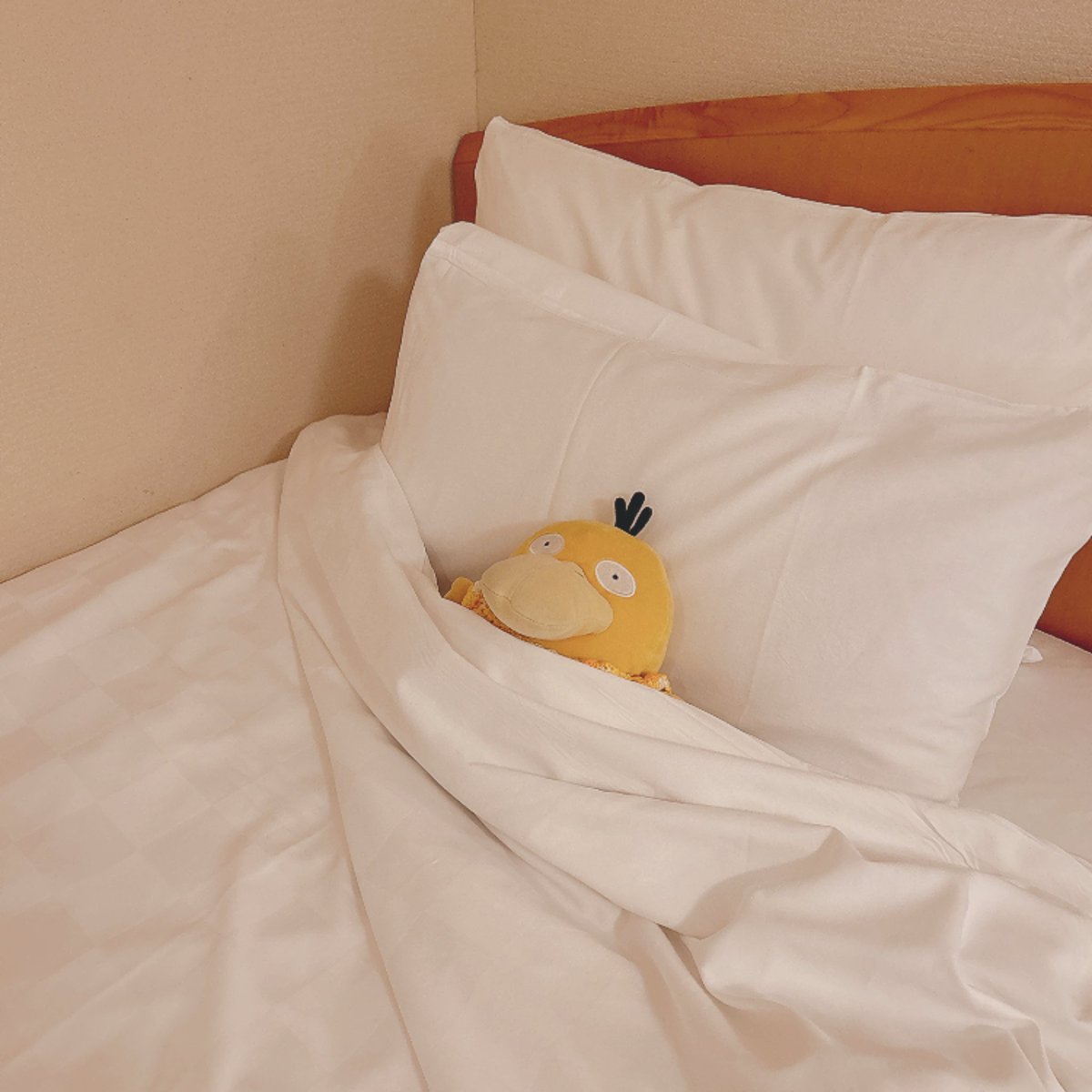 プルミ tweet media