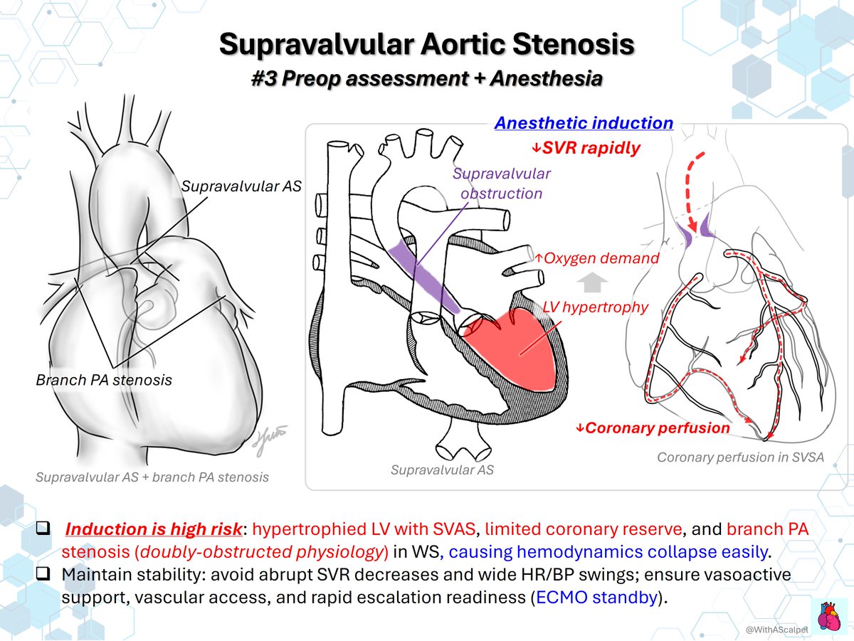 WithAScalpel - Fumiya Yoneyama, MD, PhD tweet media