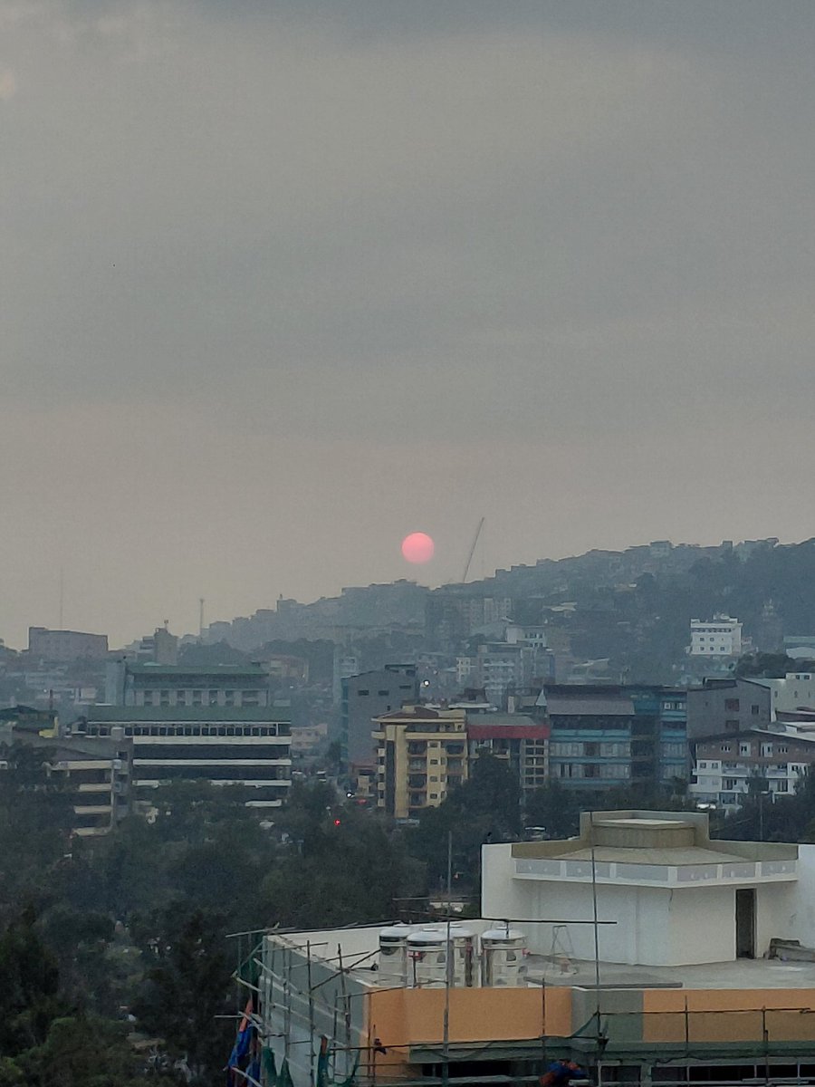 Matic Andrew tweet media