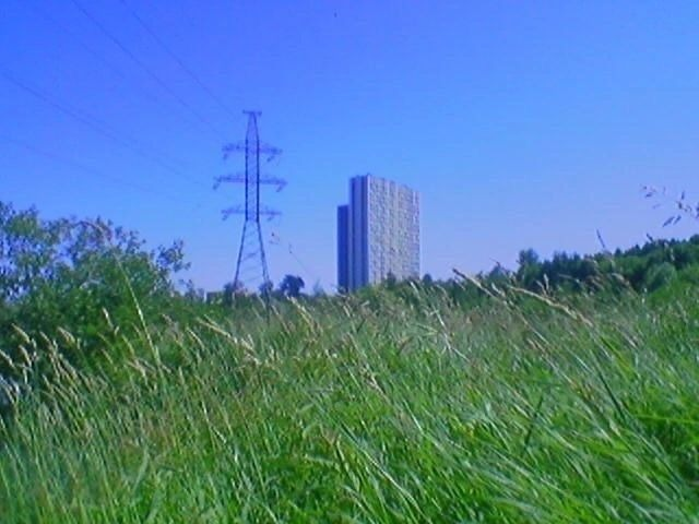 Traffic ╪┌╧╕╕╏⊚ tweet media