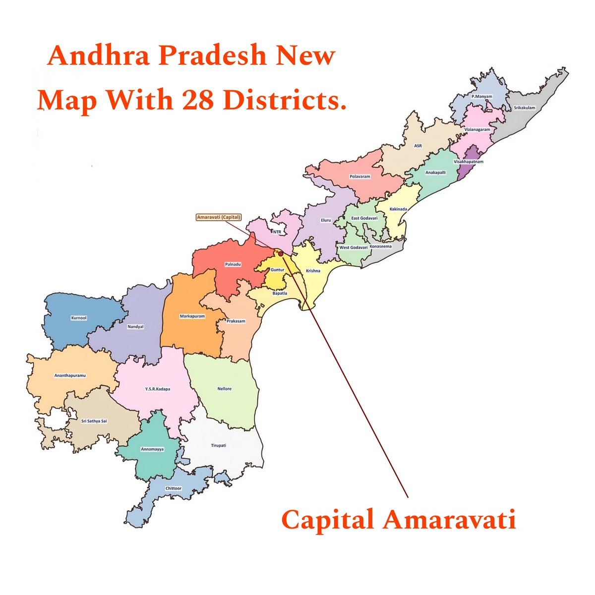 TDP Digital Media tweet media