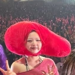 肉熊・マリーゴールド tweet media