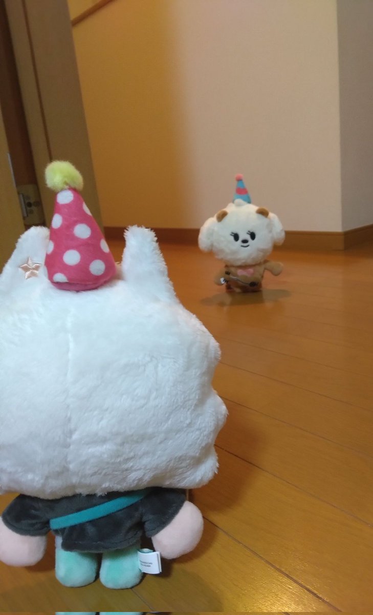 ちゃむちゃむ tweet media