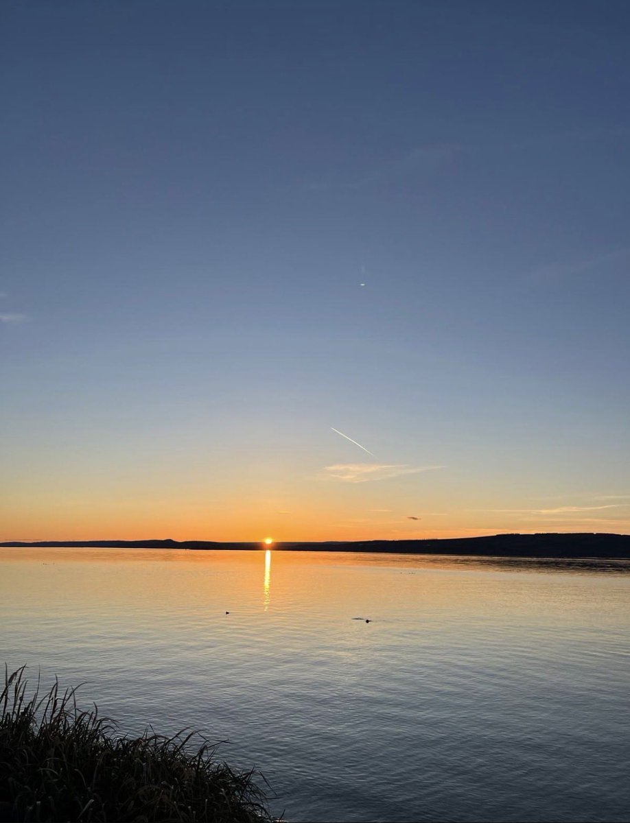 Maria Solista tweet media