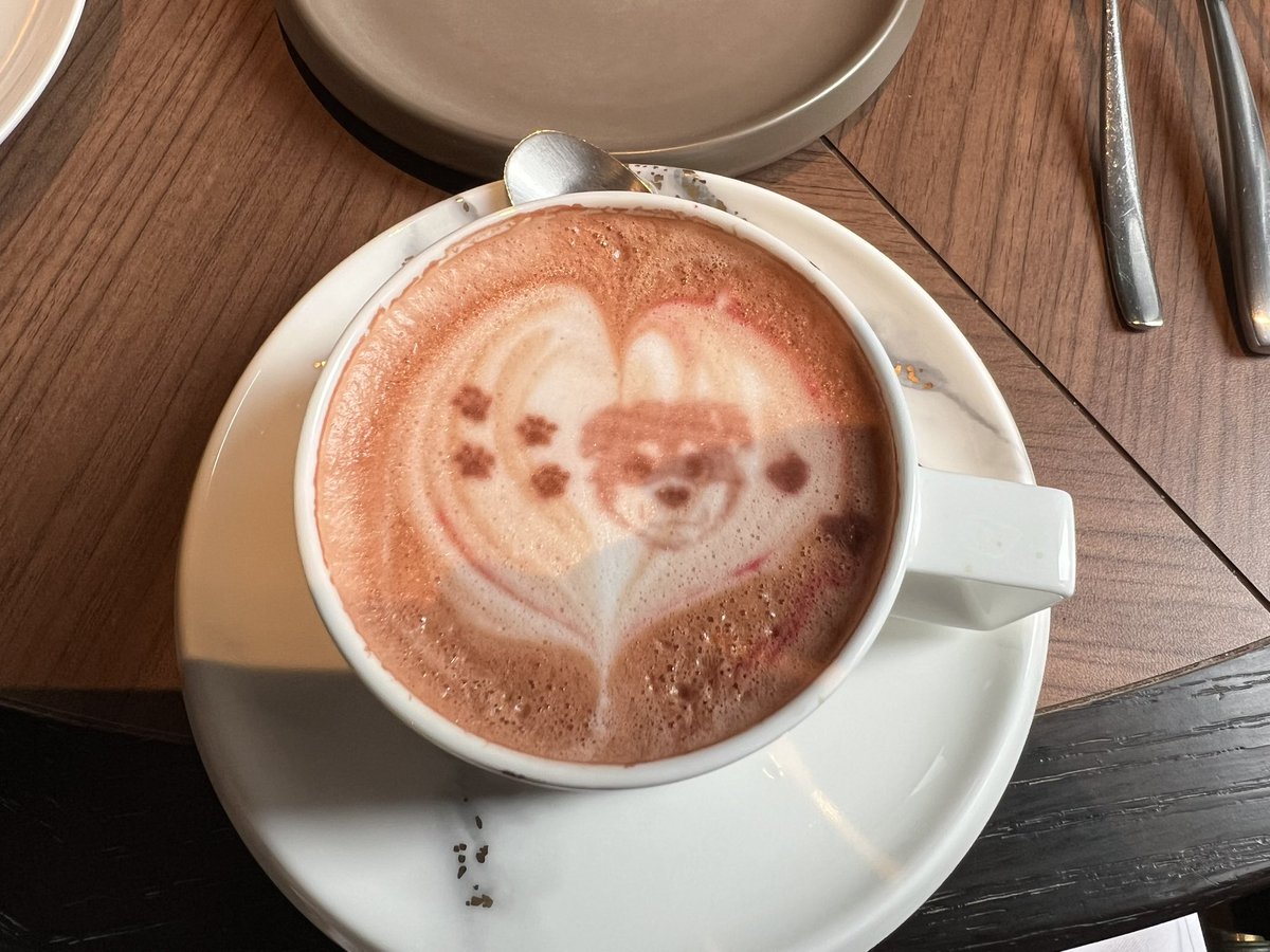 片貝文洋 / KATAGAI Fumihilo tweet media