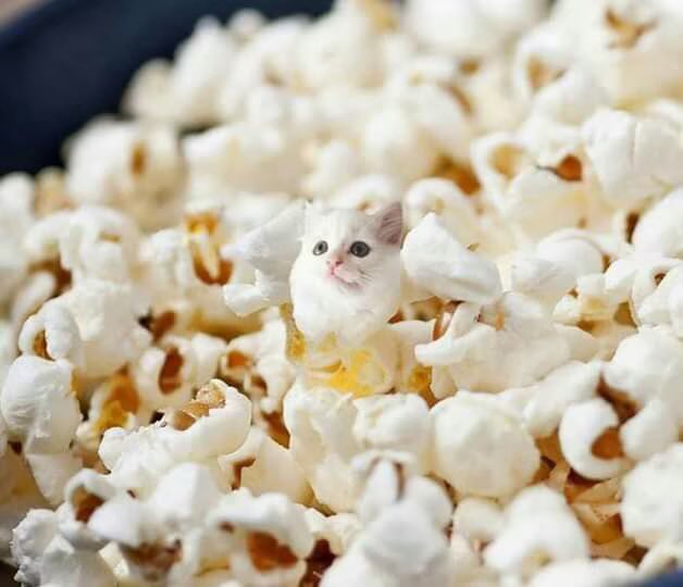 Vari | Mami of shedtwt tweet media