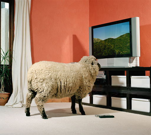 NéoDiss 🇫🇷 tweet media